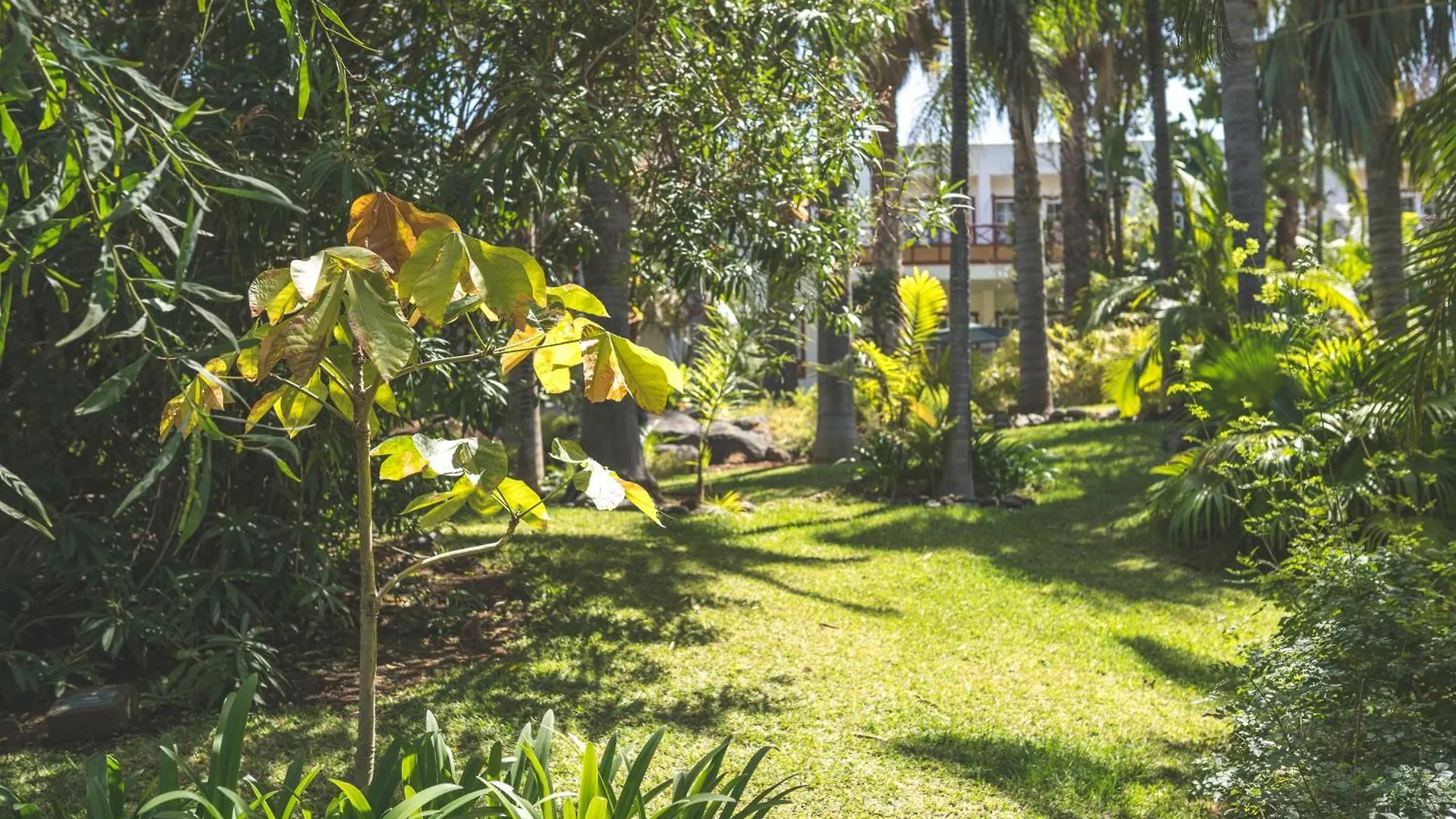 Hacienda San Jorge Hotel Brena Baja